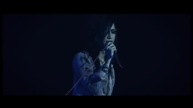 Mejibray - ECHO