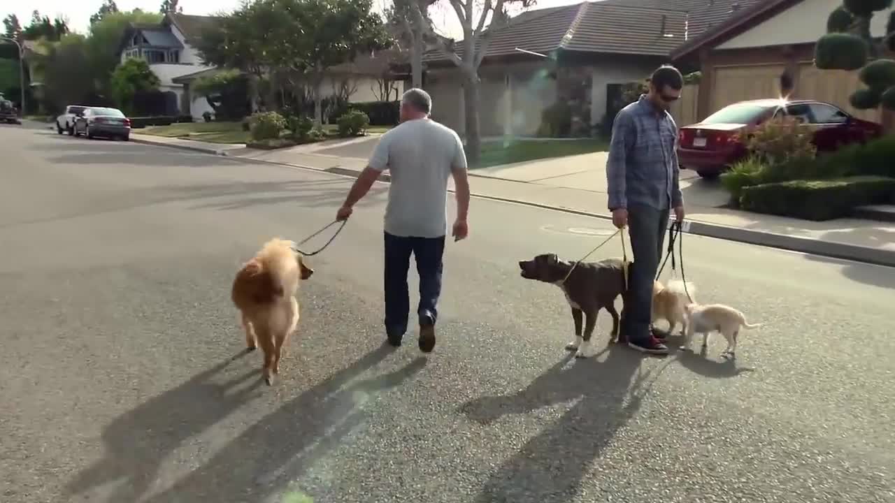 First 24 Hours with a TOTALLY UNTRAINED DOG!