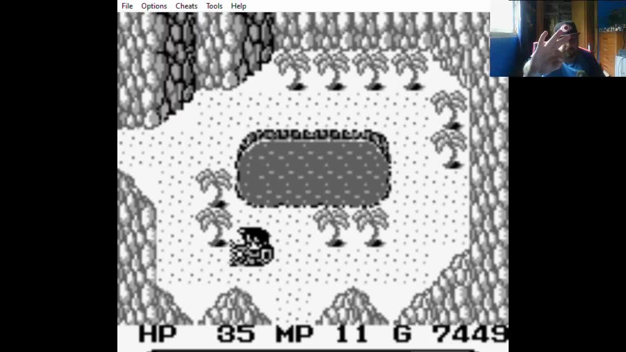 ZuperNEZ Plays Final Fantasy Adventure Part 4