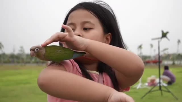 A Girl Holding A Parrot Cute Girl