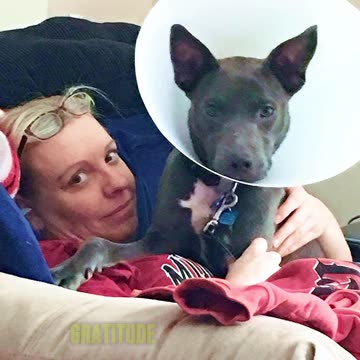 Darkness comes light