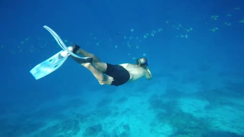 BEST SNORKELING IN THE WORLD PART 1