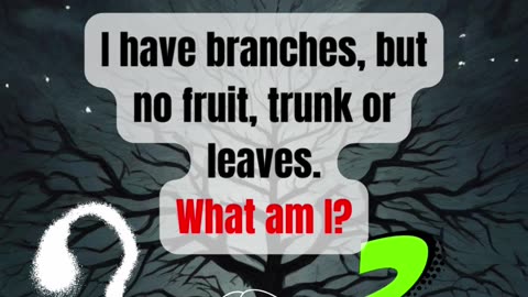 "Branches Mystery Unveiled: Can You Solve This Riddle?"