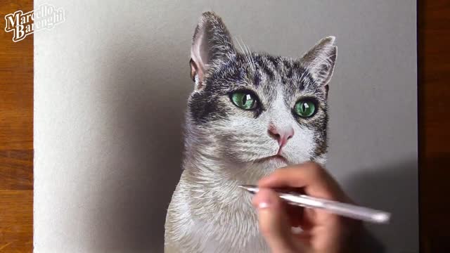 Draw The Kitten's Hair With White Colored Lead