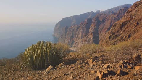 Socotra : The Alien Island on Earth