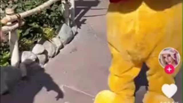 Mask Enforcer Steals Magic from Little Girl's Trip to Disneyland