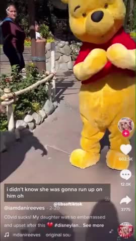 Mask Enforcer Steals Magic from Little Girl's Trip to Disneyland