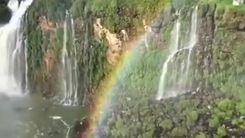 The Iguazu Falls