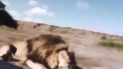 Instant karma