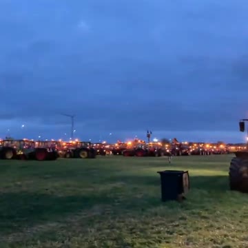 Dutch farmer protest power