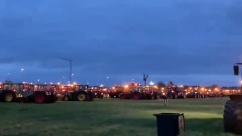 Dutch farmer protest power