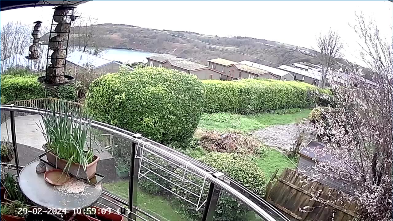 Saint Mary's cove Brixham UK, bird Box & feeders.