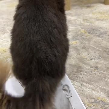 She understood the assignment