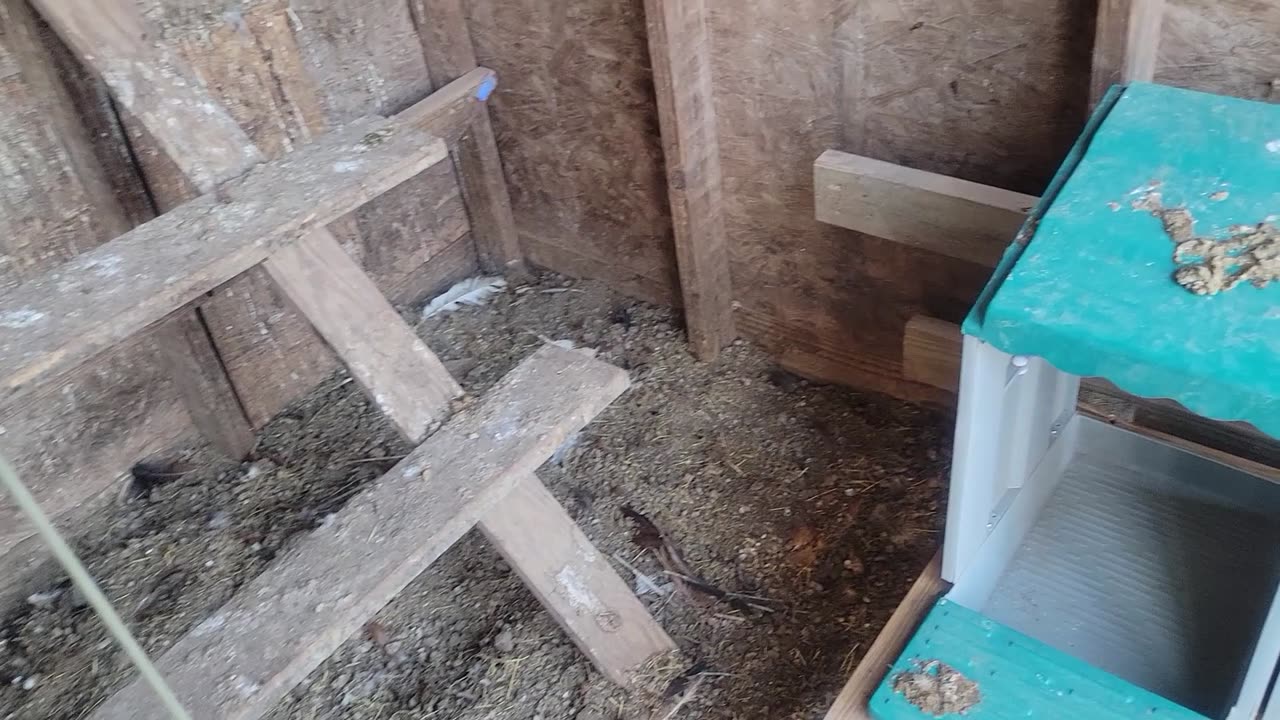 Making better use of the Roll Away Nesting boxes.