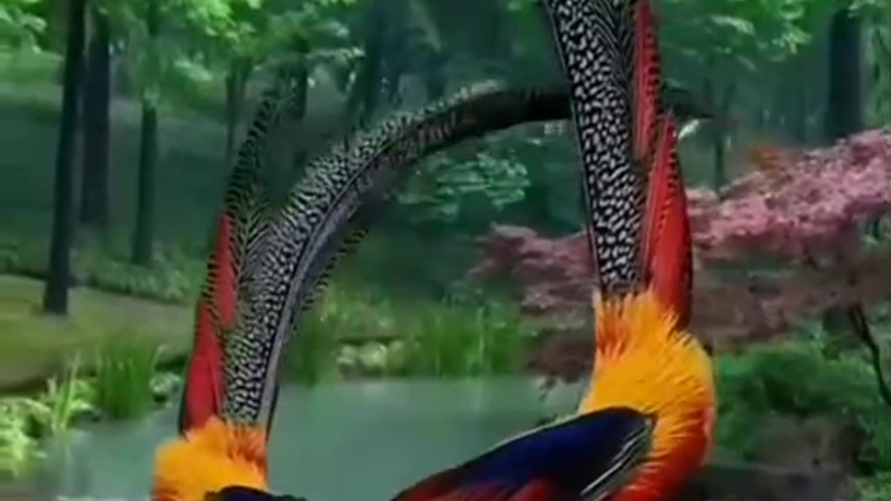 bird,,