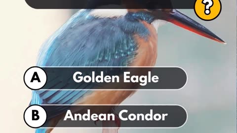 What is the largest bird of prey in the world?
