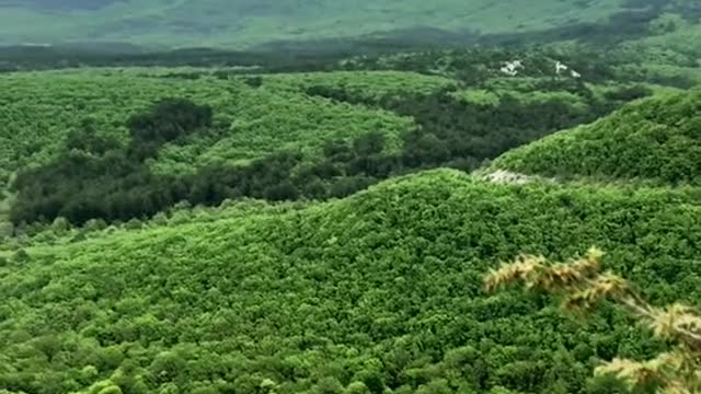 What a beautiful and bright blanket of greenery! The beauty of Bakhchisarai is unique