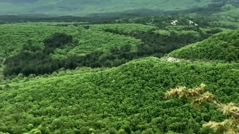 What a beautiful and bright blanket of greenery! The beauty of Bakhchisarai is unique