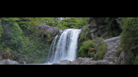 Beautiful Waterfall at Forest Video #9