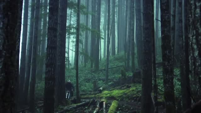 AMAZING Freeride Forest compilation