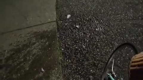 Bottle Breaks After Bouncing Out Of Bike's Basket