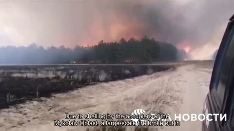 Due to shelling by the occupiers of the Mykolaiv Oblast, a large-scale fire broke out in the unique