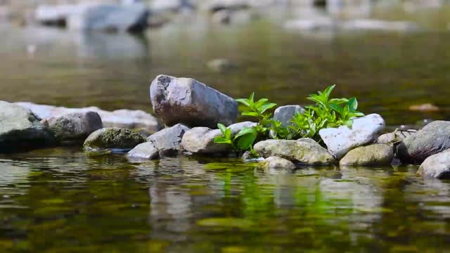 Water sounds is Sweet day by day and ear