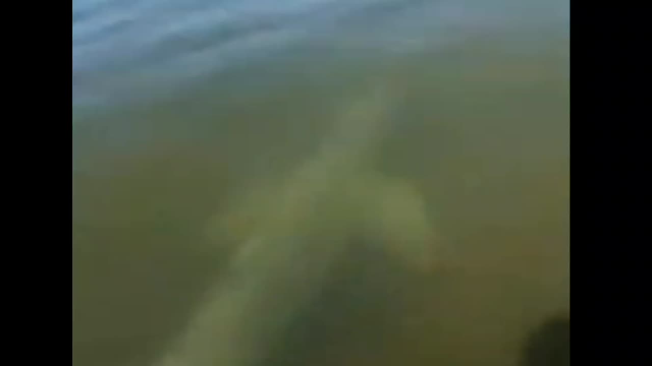 A BOTO IN THE ARAGUAIA RIVER, BRAZIL