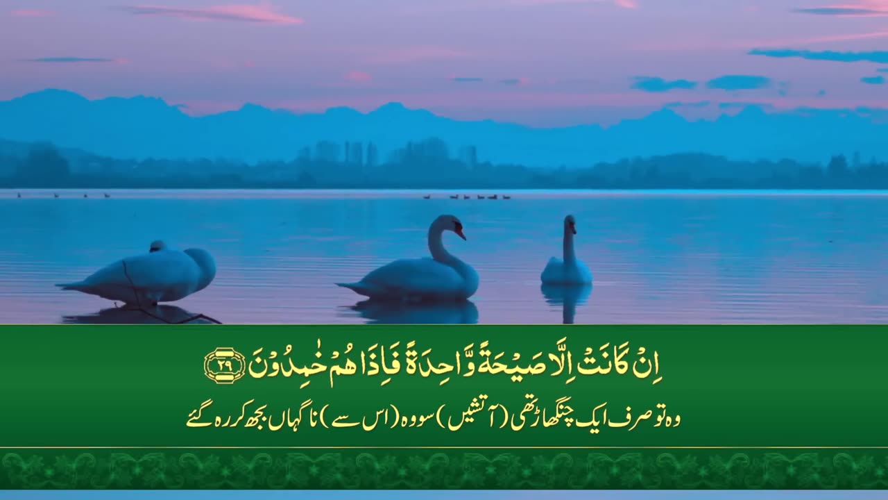 Surah Yaseen with Translation | Quran Tilawat |