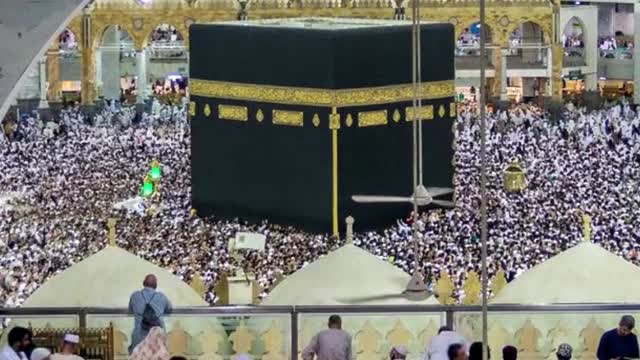 O Muhammad, you are not responsible for the guidance of these people, #shorts #muhammad #quran
