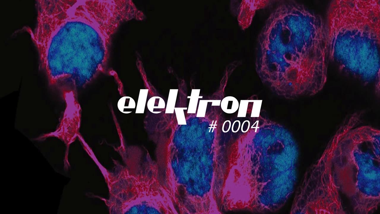 ALLAIN RAUEN elektron #0004