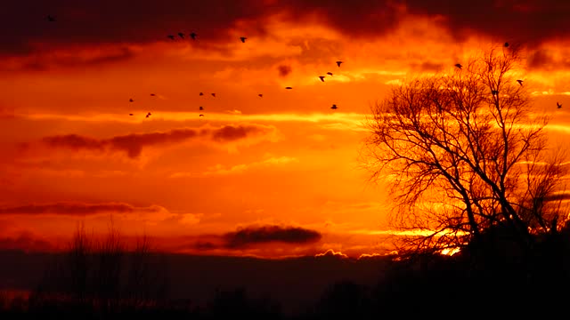 Most Beautiful Sunset 64