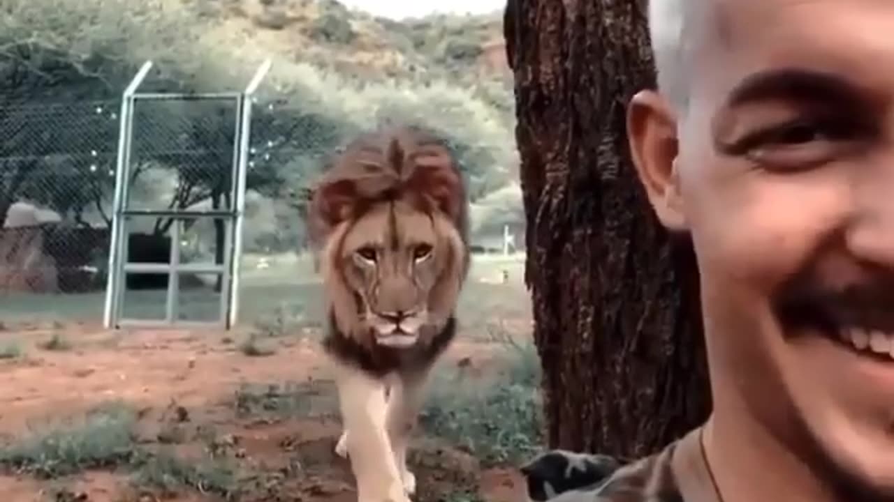 Wildlife
