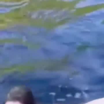 The end 😂😂😂. Stupit people do stupid things!!