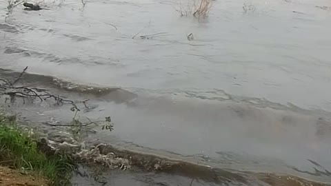 Dam big