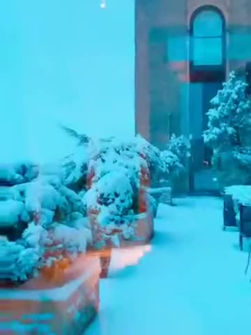 20190302文贵先生视频¹：尊敬的战友们好！纽约今天下了大雪！非常的漂亮浪漫极了！我正在准备两个小时以后的直播！一切都是刚刚开始！