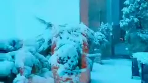 20190302文贵先生视频¹：尊敬的战友们好！纽约今天下了大雪！非常的漂亮浪漫极了！我正在准备两个小时以后的直播！一切都是刚刚开始！