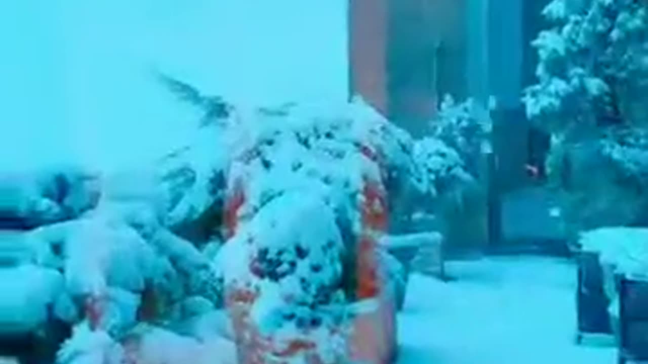 20190302文贵先生视频¹：尊敬的战友们好！纽约今天下了大雪！非常的漂亮浪漫极了！我正在准备两个小时以后的直播！一切都是刚刚开始！
