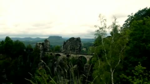 Relaxing Music | Sleeping, Meditation, Stress Relief | [1450] ⭐️