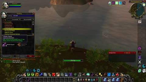 World of Warcraft Classic Druid going it rough