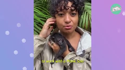 Woman Saves A Baby Monkey. She's Absolutely In Love