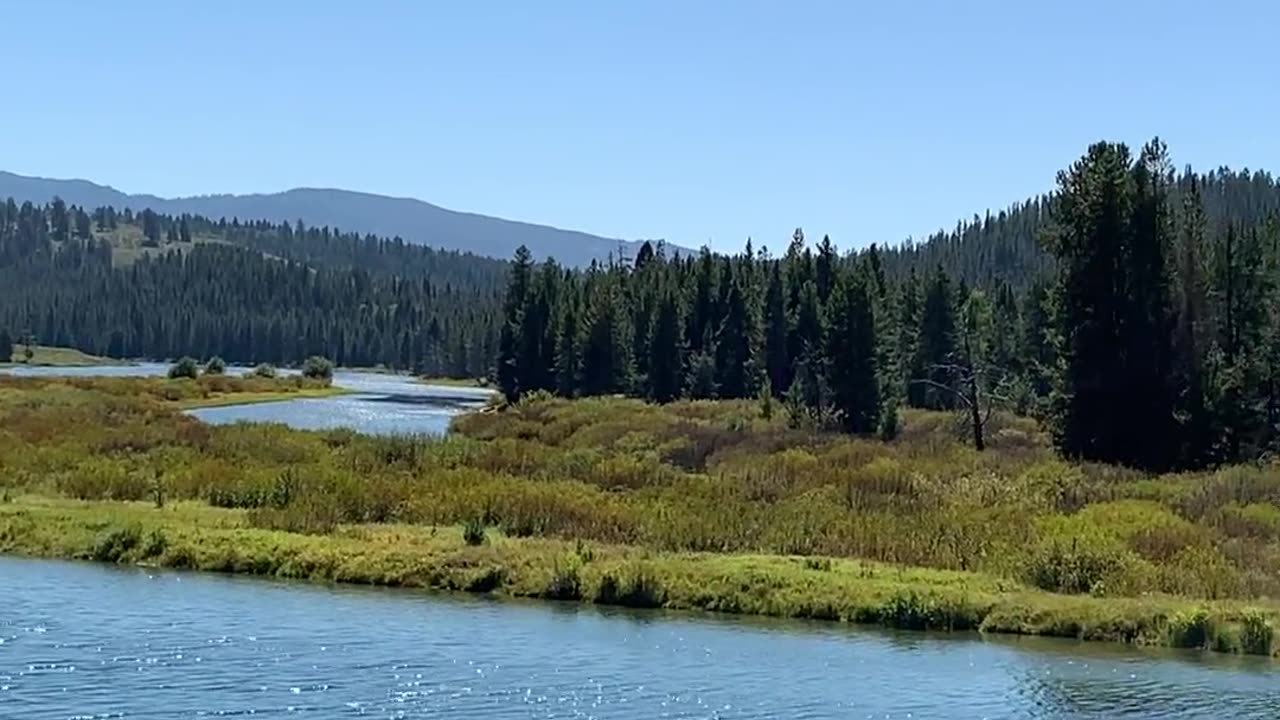 Streaming in The Grand Teton Mountain National Park - Wyoming