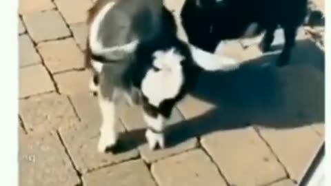 😅