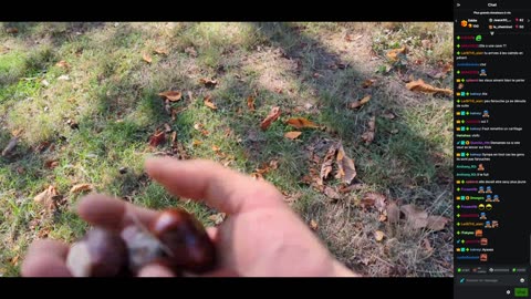 2023-10-12 (4bis.1) - Et maintenant petit live dans la poche + Mamie - Kick Triskel (avec chat)