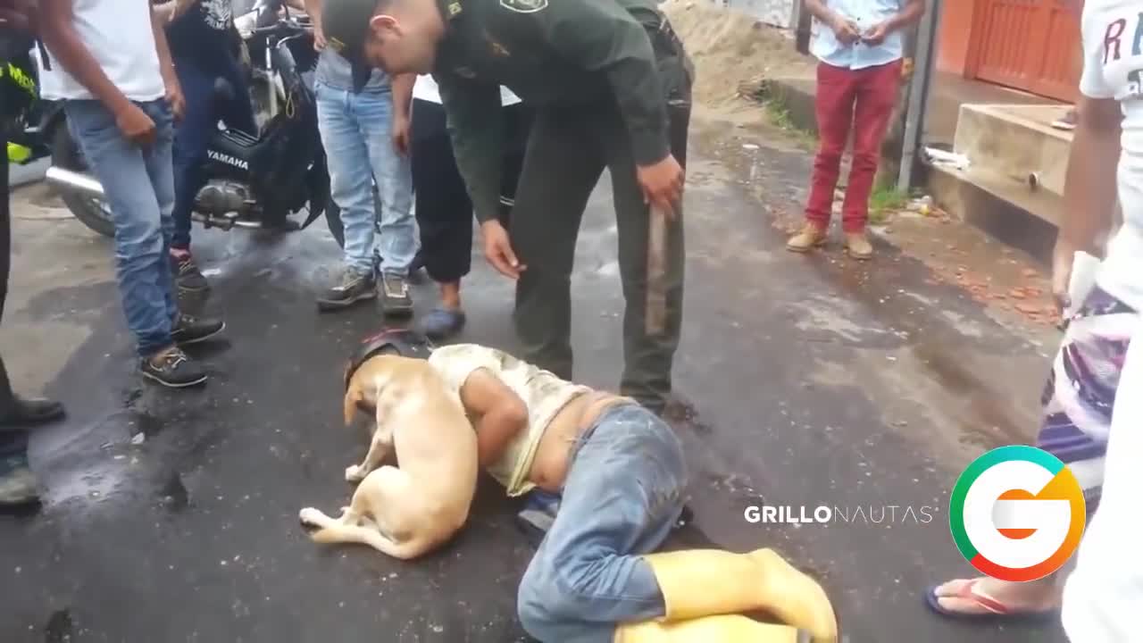 Perro defiende a su amo borracho dormido en la calle