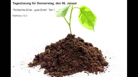 Tageslosung für Donnerstag, den 06. Januar