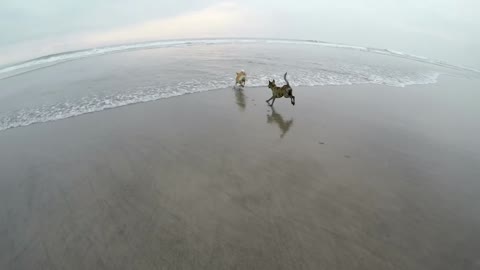 Two brothers enjoying the sea