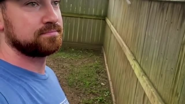 Watch-Dog on duty.