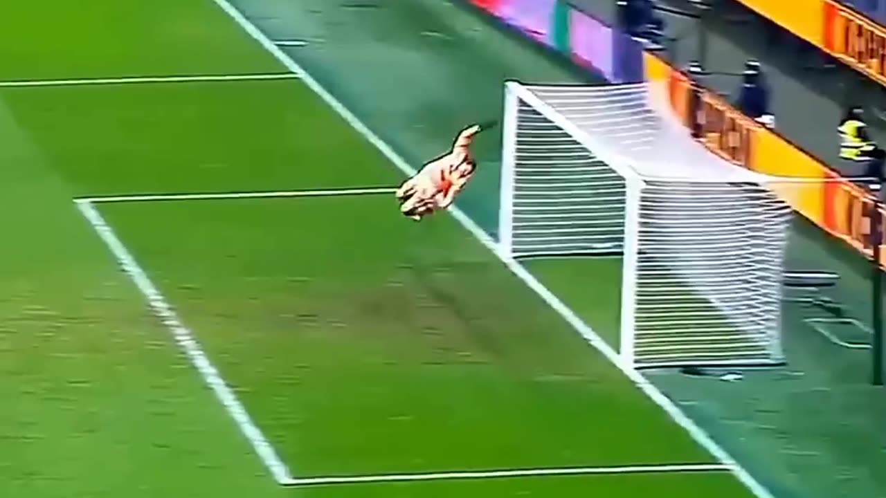 Incredible Long Goal 🤯