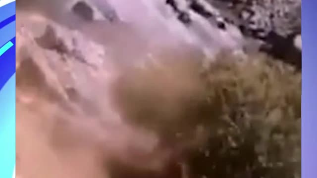 A life saving moment